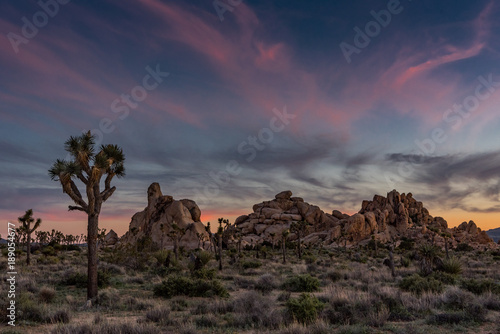 Subtle Sunset Over Joshua Tree and Boulders