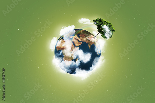 Baum wächst auf Globus mit Regenbogen auf grünem Hintergrund photo