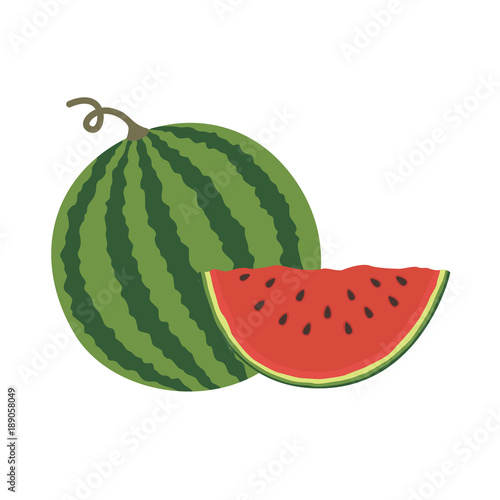 Vector illustration logo for whole ripe red fruit watermelon, green stem, cut half, sliced slice berry with red flesh. Watermelon pattern from natural sweet food.