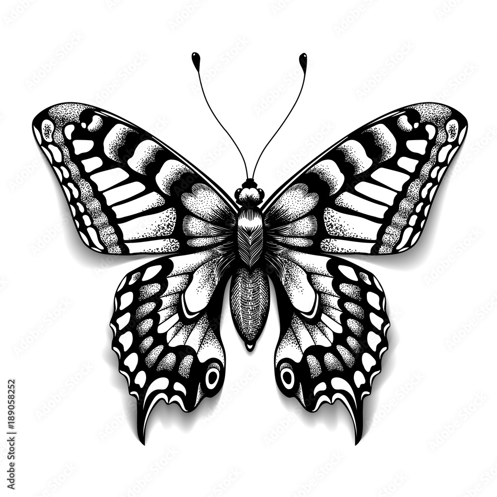 110,715 Butterfly Sketch Royalty-Free Images, Stock Photos & Pictures |  Shutterstock