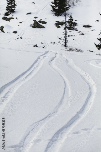 Snow tracks. Vitosha mountain , Sofia, Bulgaria.