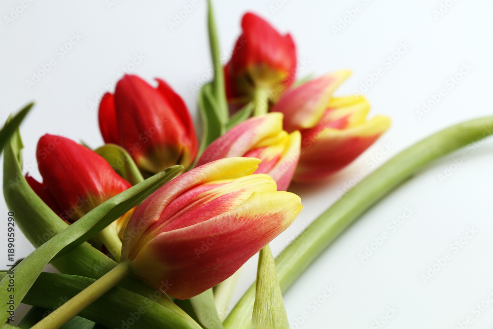 Bouquet of spring tulips on a white background. Bouquet of spring tulips on a white background.