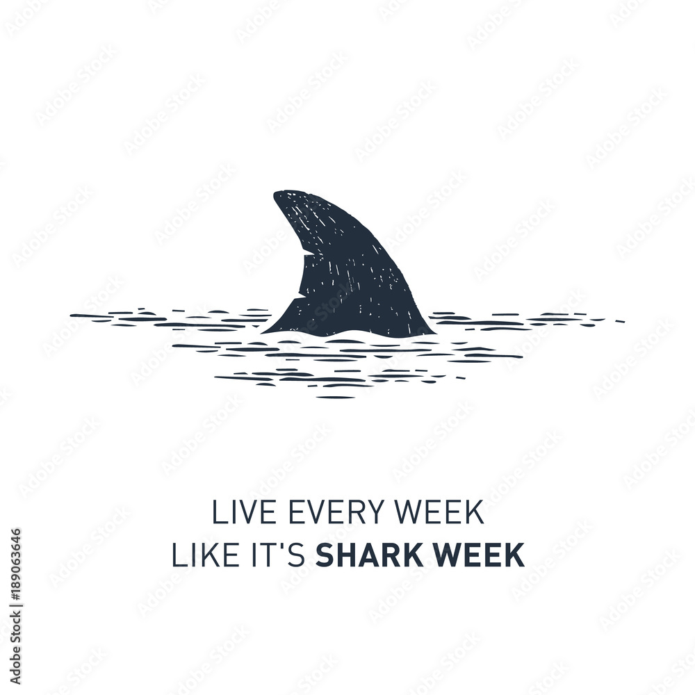 Obraz premium Ręcznie narysowana odznaka żeglarska z teksturą wektorową płetwy rekina i napisem „Żyj co tydzień jak tydzień rekina”.