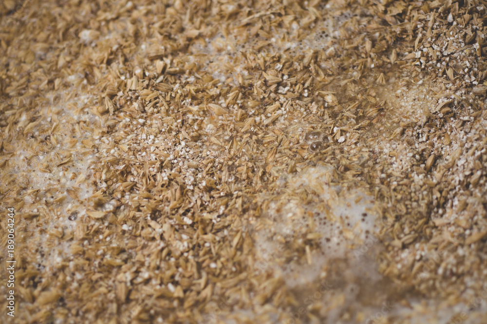 Mashing of milled malt grains into heated water to prepare wort. Craft beer  brewing from grain barley pale malt in process. Ale or lager from pilsner  malt. Stock Photo | Adobe Stock