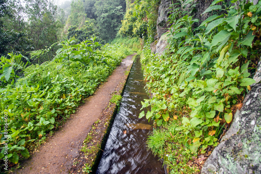 Levada, trails and surroundings on foggy, misty and rainy days. Leavdas are irrigation channels specific to the island of Madeira. Levada, trails and surroundings on foggy, misty and rainy days. Leavdas are irrigation channels specific to the island of Madeira.
