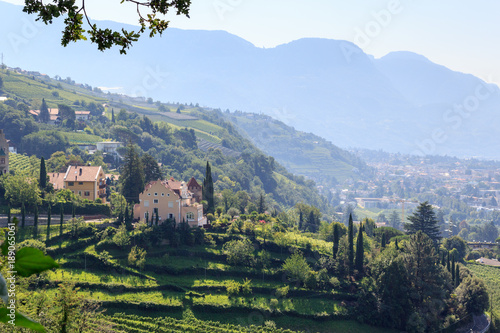 Vineyard and mountain panorama in Merano, South Tyrol