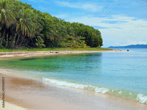 Tropical beach shore on a Caribbean island with green vegetation, Bocas del Toro, Panama, Central America