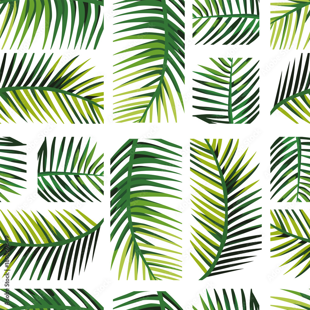 geometric arrangement palm leaves