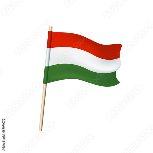 Hungary flag on white background