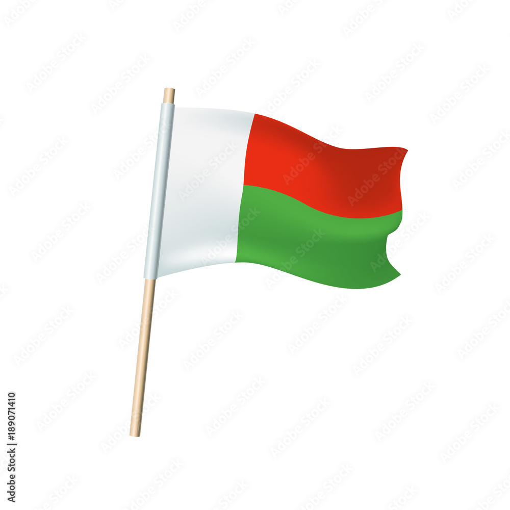 Madagascar flag on white background Madagascar flag on white background