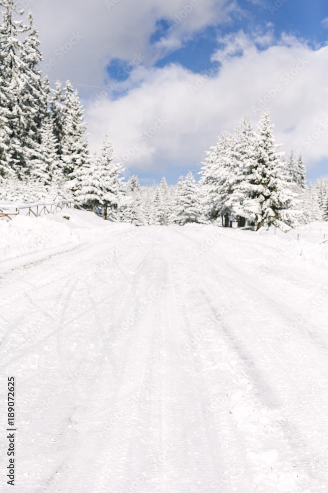 Obraz premium Winter road through the forest.