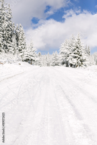 Winter road through the forest. © Borislav