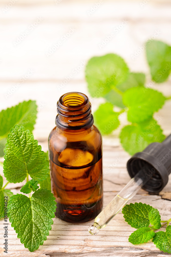 lemon balm essential oil in the bottle, with fresh leaves lemon balm essential oil in the bottle, with fresh leaves