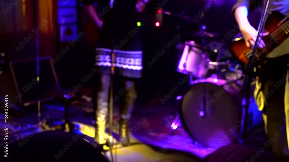 fans at a rock concert.