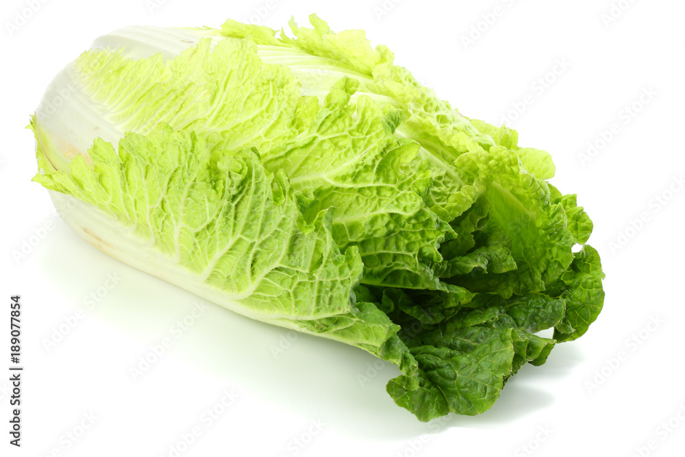chinese cabbage isolated on a white background chinese cabbage isolated on a white background