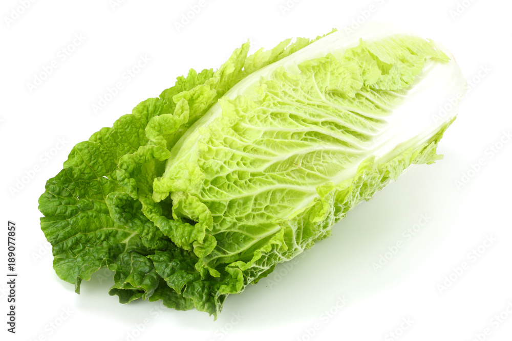 chinese cabbage isolated on a white background chinese cabbage isolated on a white background