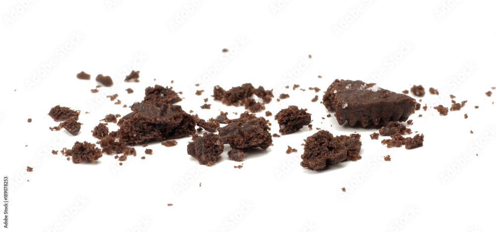 chocolate biscuits isolated on a white background chocolate biscuits isolated on a white background