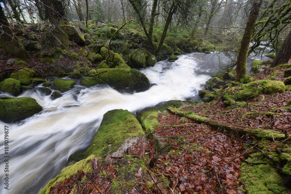 Fototapeta premium Moorland river in spate Bodmin Moor Cornwall