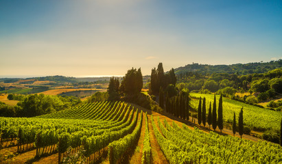 Papier peint photo Le salon Casale Marittimo et vignobles de Maremme  © stevanzz
