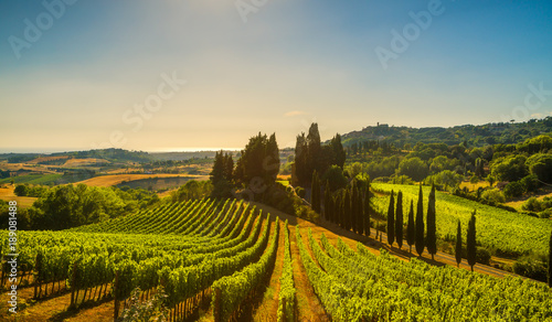 Obraz na plátně Casale Marittimo village, vineyards and landscape in Maremma
