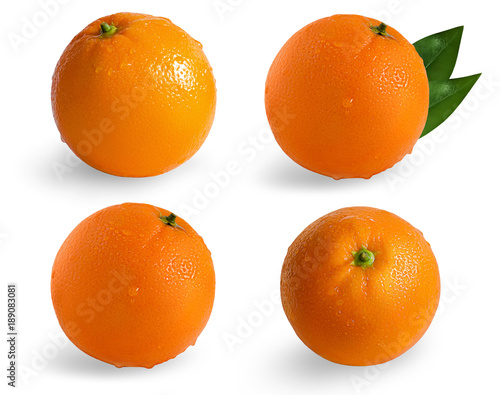 A collection of oranges isolated on white background. Several sides of an orange