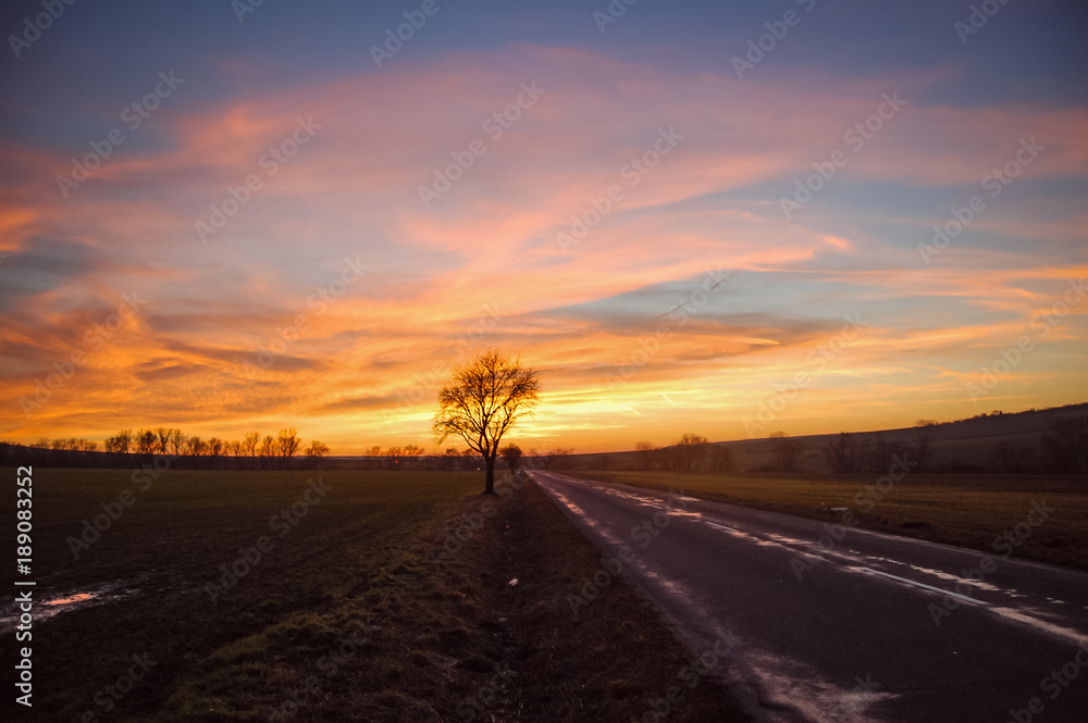 sunset over the field and the meadow