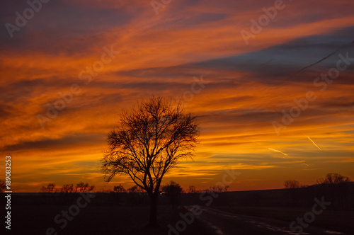 sunset over the field and the meadow