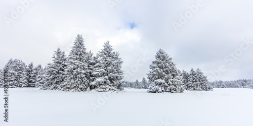 winter und schnee © haiderose