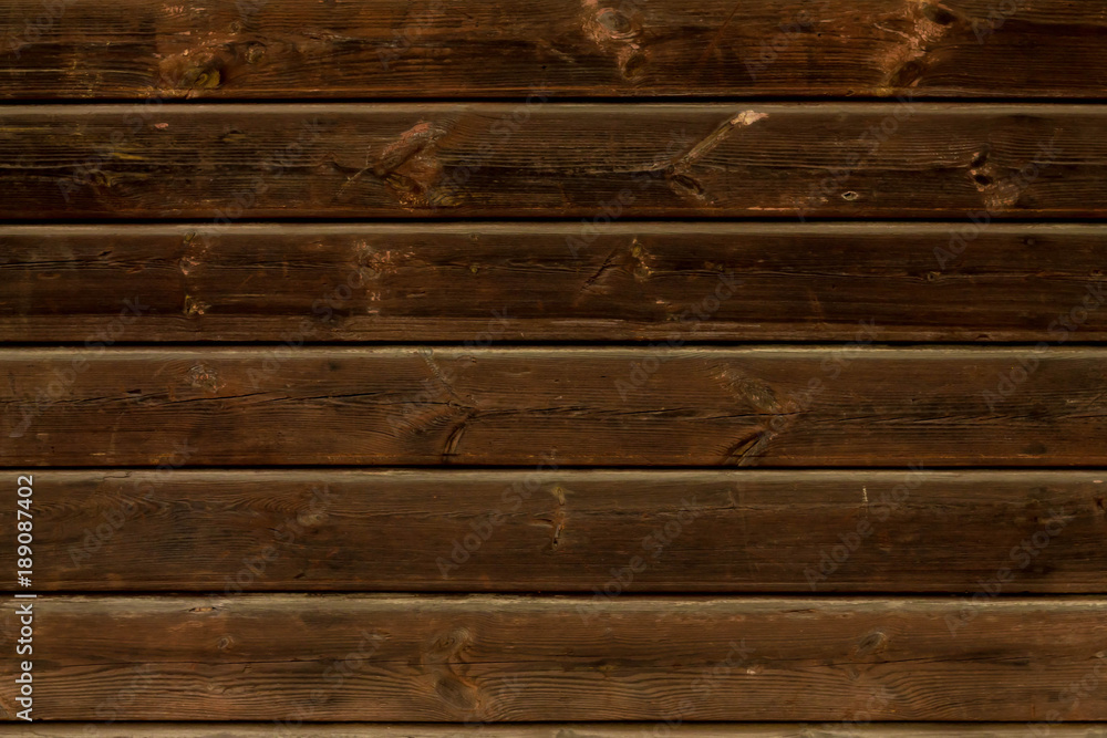 Naklejka premium Tree wall background