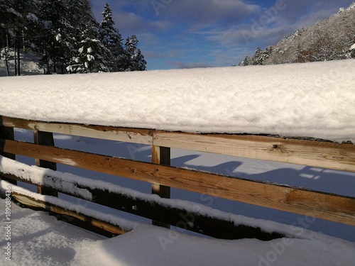 Wallpaper Mural Winter Torontodigital.ca