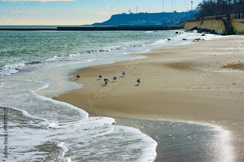 Sunny winter day at seaside. Odessa, Ukraine photo