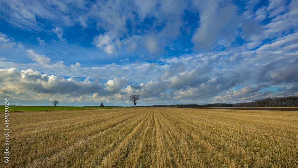 Stubble field landscape under cloudy sky Stubble field landscape under cloudy sky