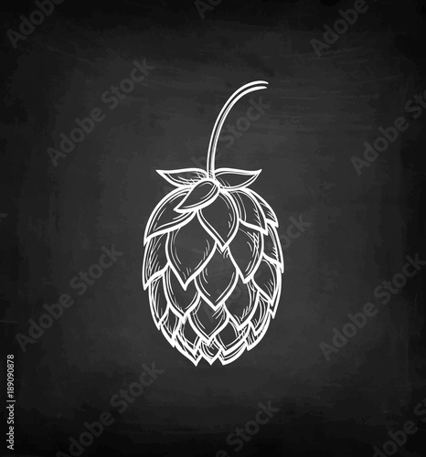 Chalk sketch of hops.