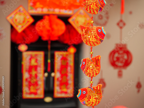  Fu  means lucky   Chinese new year decorating greeting card