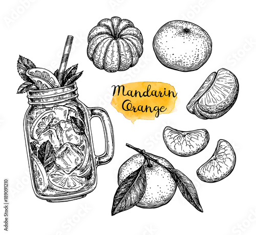 Ink sketch of tangerines.