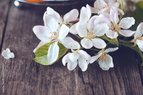 Background with flowers and petals Apple tree with copy space.