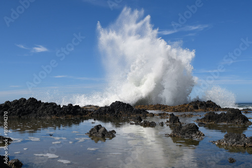 Sea spray from a ocean wave splashing dramatically upa against  a rocky shoreline in the Cape Perpetua Scenic Area along the Oregon Coast photo