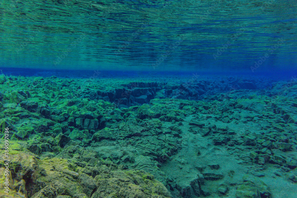 Fototapeta premium Clearest Water in the world!