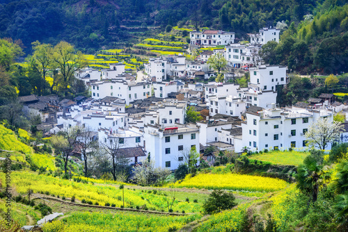 Terraced fields of Wuyuan County with Yellow oilseed rape field and Blooming canola flowers in spring. It's very quiet. People refer it to as the most beautiful village of China. photo