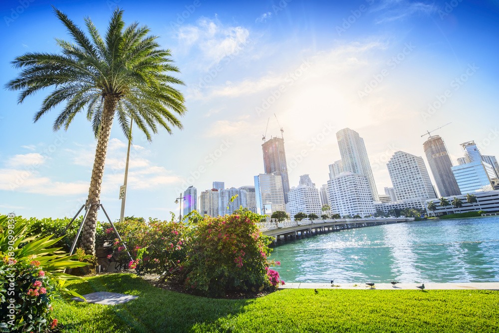 Fototapeta premium Sunshine Miami. Znajduje się w centrum Miami na Florydzie, USA.