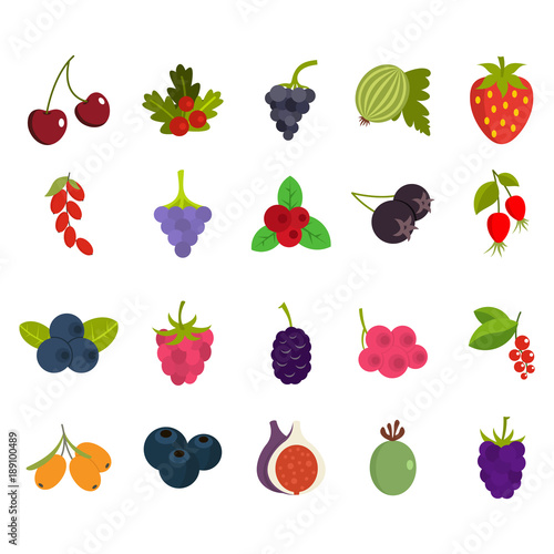 Berries icon set, flat style