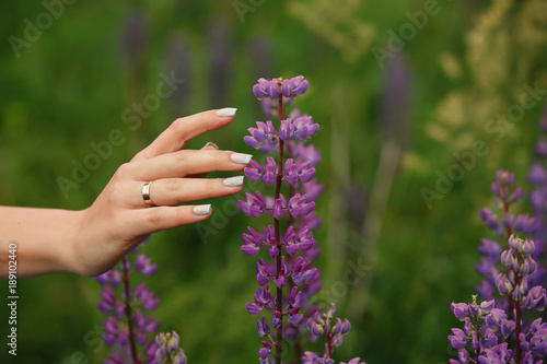 Marriage. Bride's hand with wedding or engagement ring and beautiful manicure in lavender field