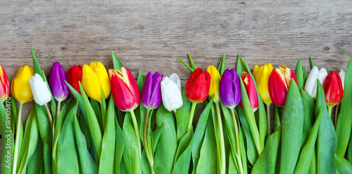 Easter eggs and fresh spring tulips on a wooden background  tulips on a wooden background