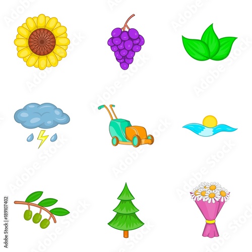 Pollination icons set, cartoon style