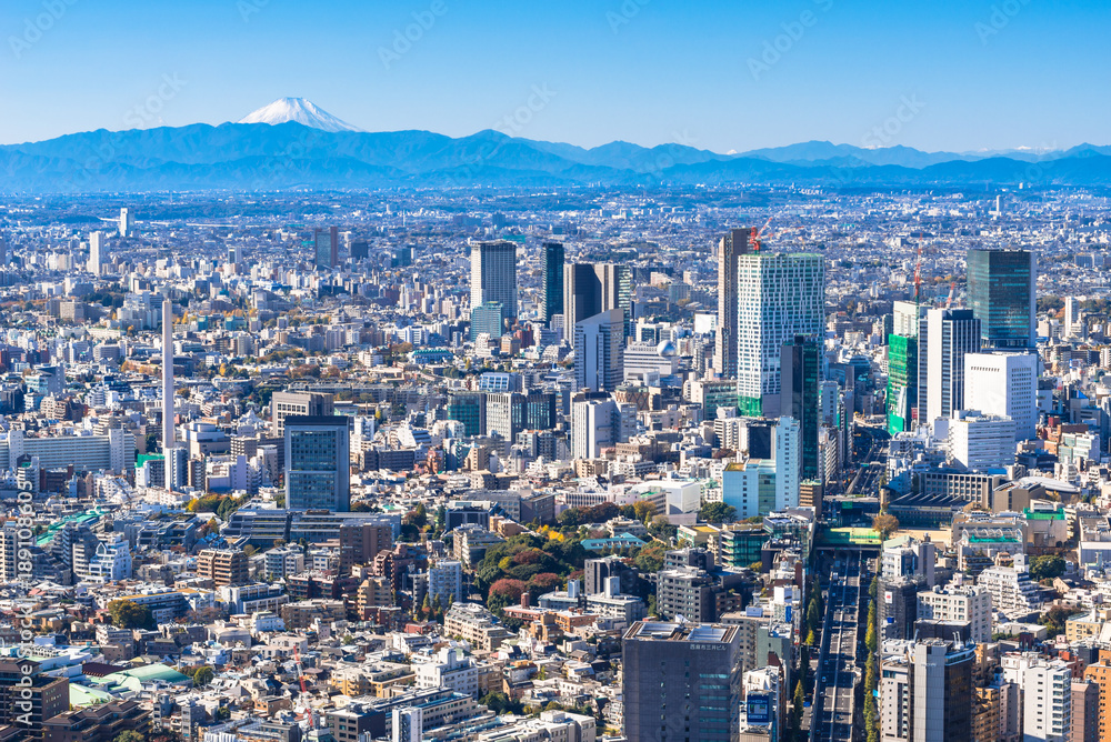 Obraz premium 東京都心から眺める富士山
