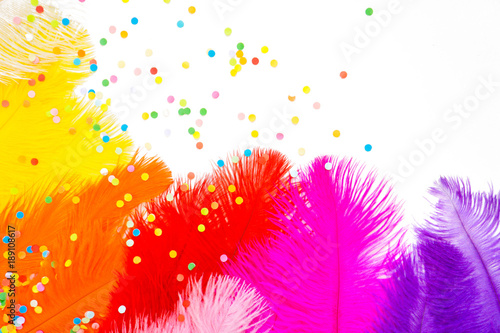 Bright colored feathers for a carnival costume. Color confetti. White background. photo