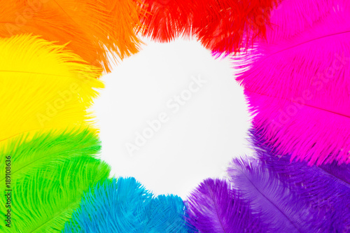 Bright colored feathers for a carnival costume. Color confetti. White background. photo