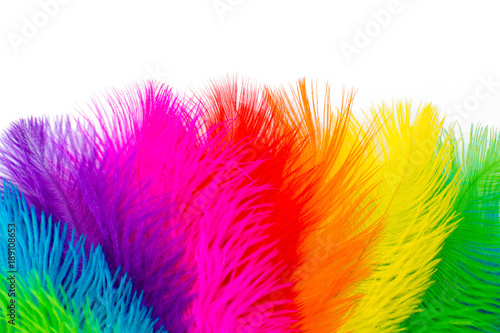 Bright colored feathers for a carnival costume. Color confetti. White background.