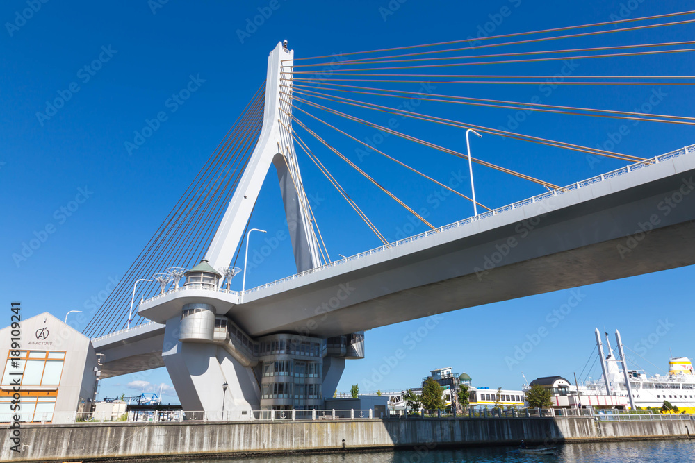 Obraz premium 青森ベイブリッジ