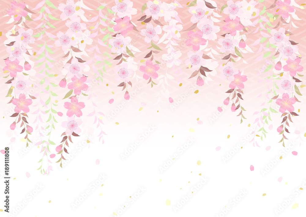 Fototapeta premium 枝垂れ桜 柳